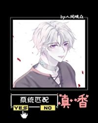 ϵͳƥ������